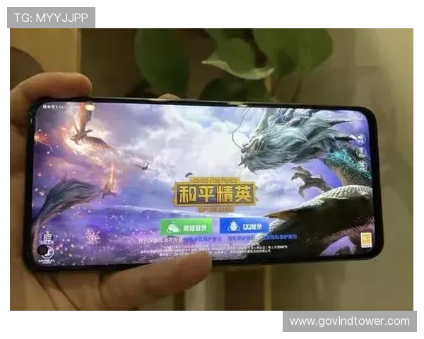 333体育电竞平台的安全保障措施与用户隐私保护策略详解
